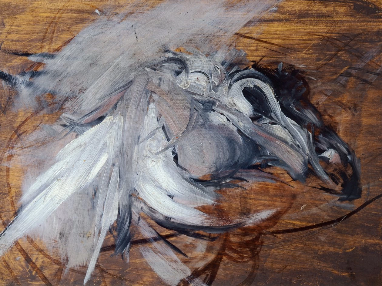 Leda e il cigno